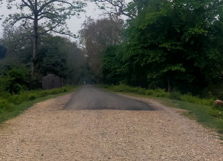 गुलरिया–मुर्तिहा सीमा एकतर्फी शिल