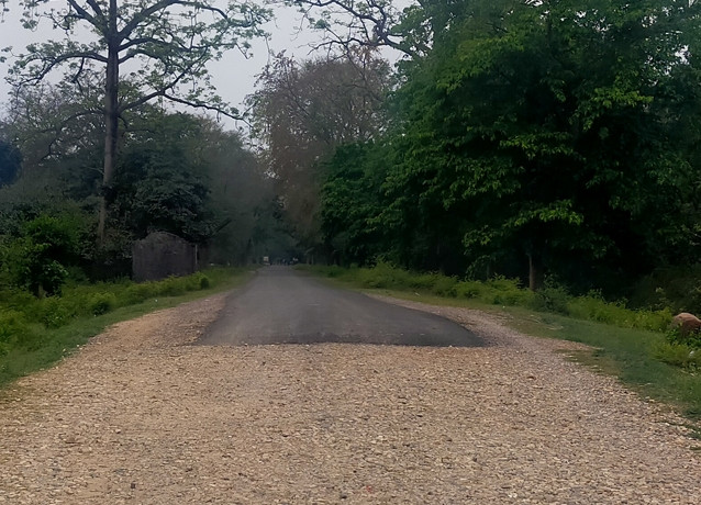 गुलरिया–मुर्तिहा सीमा एकतर्फी शिल