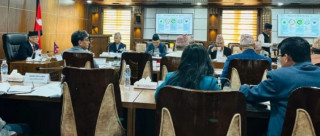 सातै प्रदेशका मुख्यमन्त्रीसहित दिगो विकास निर्देशक समितिको बैठक