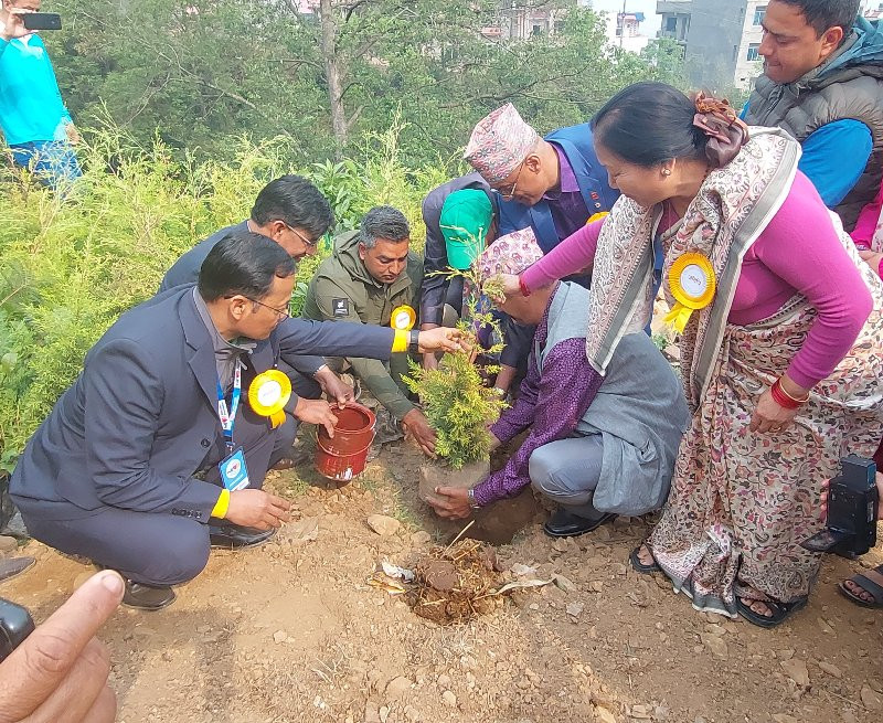चन्द्रागिरिमा हरियाली नमुना पार्क बनाउन वृक्षारोपण