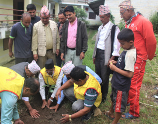 बागलुङको कालीमाटीमा एभोकाडोको खेती