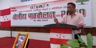 कांग्रेस महामन्त्री थापाले भने-दलहरुबिचको गठबन्धनले लोकतन्त्र कमजोर भयो