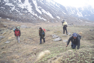दुई महिनासम्म बुकिमै बसेर यार्साको खोजी, दिनमा भेटिन्छ २० देखि २५ वटासम्म
